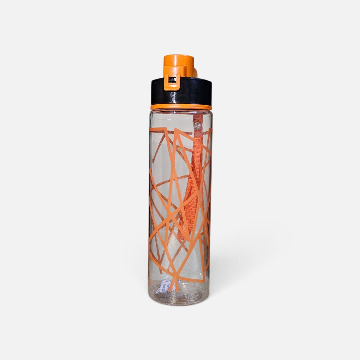 Spider Water Bottle